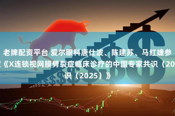 老牌配资平台 爱尔眼科唐仕波、陈建苏、马红婕参与制定《X连锁视网膜劈裂症临床诊疗的中国专家共识（2025）》